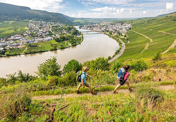 Wanderung auf dem Moselsteig von Schweich nach Mehring