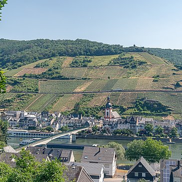 Blick auf Zell vom Mosel-Radweg