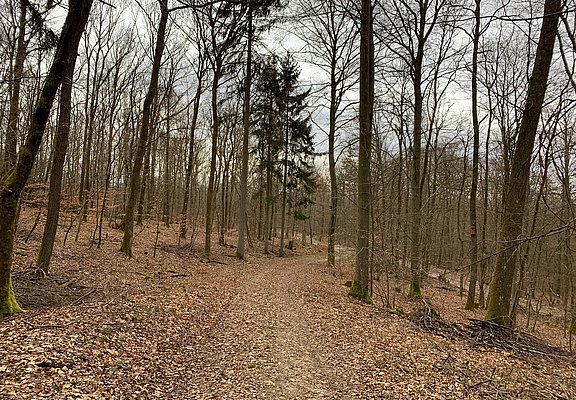 Inmitten der Natur