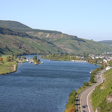 Wintrich