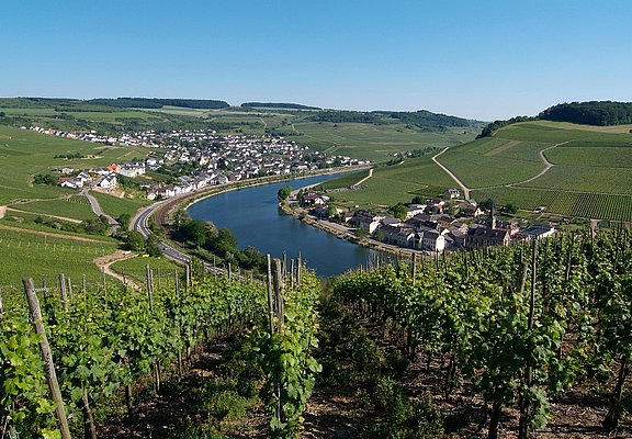 Moselsteig an der Obermosel