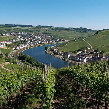 Moselsteig an der Obermosel