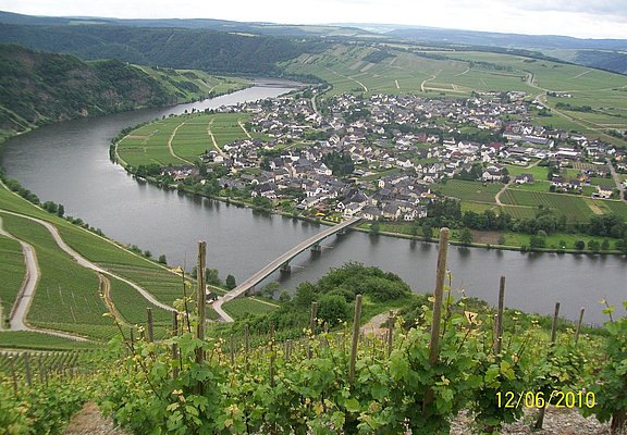 Piesport