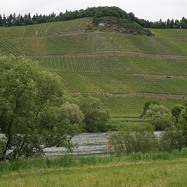 Mosel und Weinberge