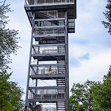 Prinzenkopfturm