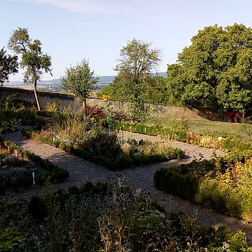 Kräuter im Abtsgarten  von Klausen