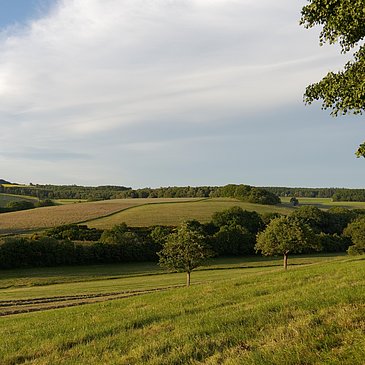 Blick in die Ferne