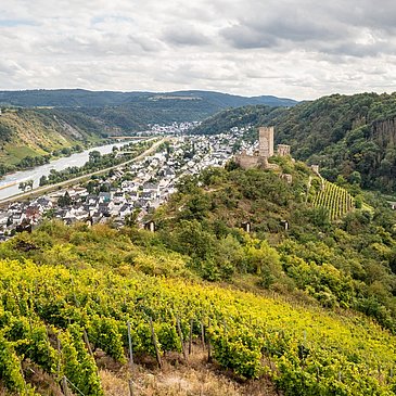 Schlossberg Kobern-Gondorf an der Mosel