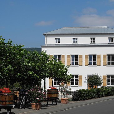 Weingut