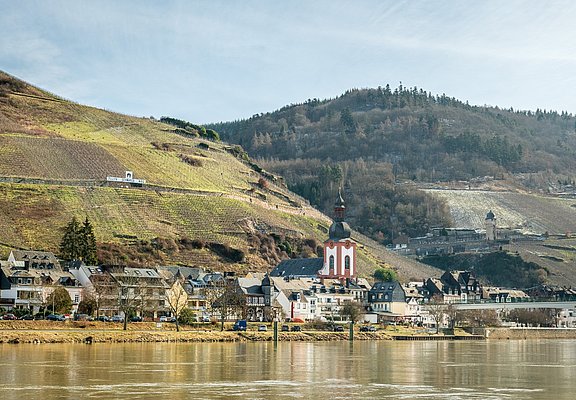 Moselblick auf Zell