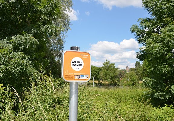 Lauschpunkt bei Nennig