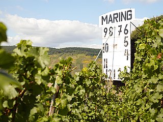 Maringer Sonnenuhr in den Weinbergen