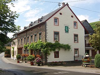 Weingut mit Weinbergen im Hintergrund