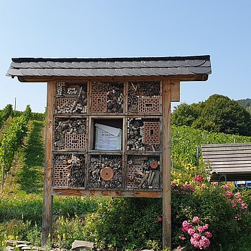 Insektenhotel an der Ruheinsel