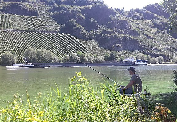 Angler