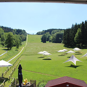 Das Bild zeigt einen weiten Grashügel mit Schirmen und der Sommerrodelbahn des Freizeitzentrum Peterberg.