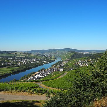 Aussicht über Lieser und das Moseltal