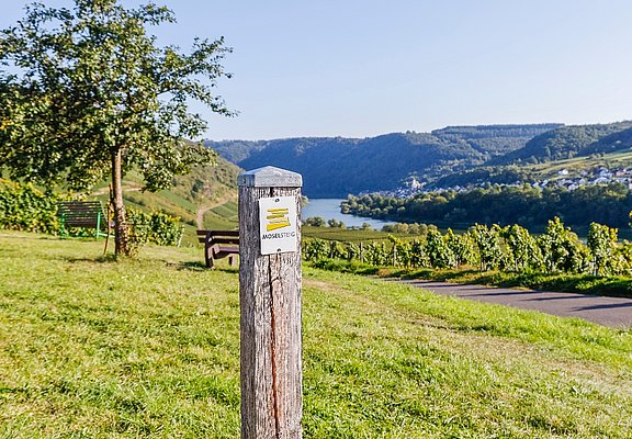 Wegemarkierung Moselsteig auf der Etappe 13 von Reil nach Zell