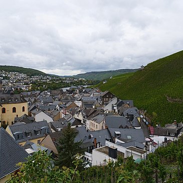 Aublick über die Altstadt und den Doctorberg