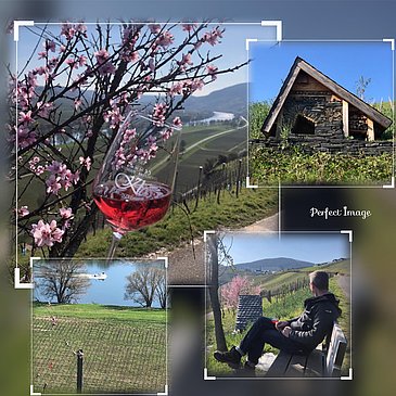 Weingut in Osann-Monzel