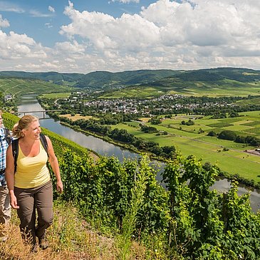 Auf dem Brauneberg mit Blick flußaufwärts Richtung Bernkastel