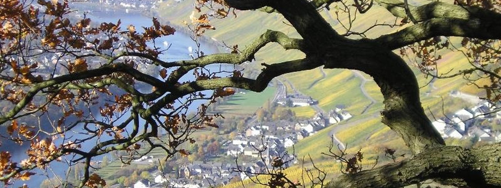 Herbstimpressionen über der Mosel