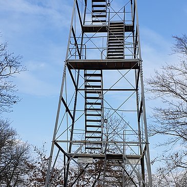 Grainskopf auf dem Kueser Plateau