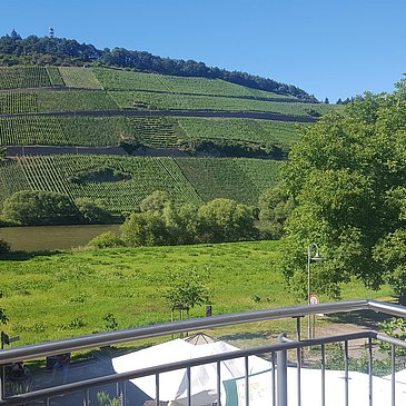 Ausblick