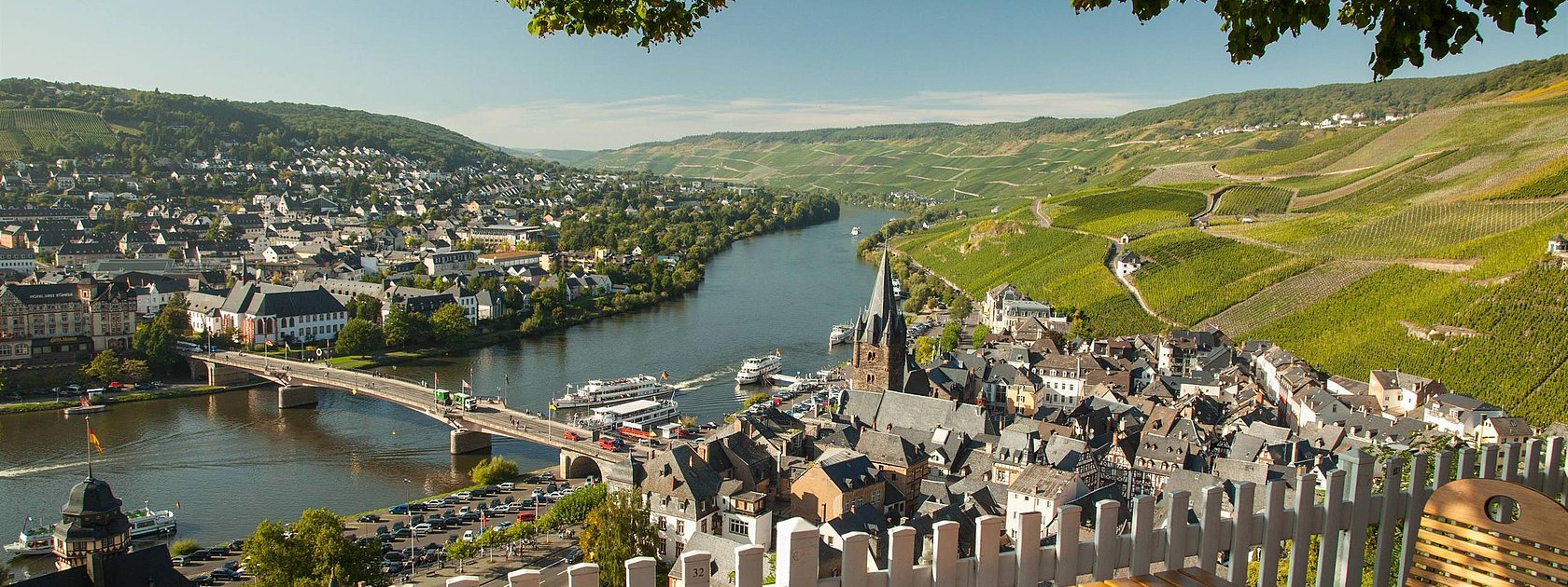 Blcik auf die Mosel und Weinberge