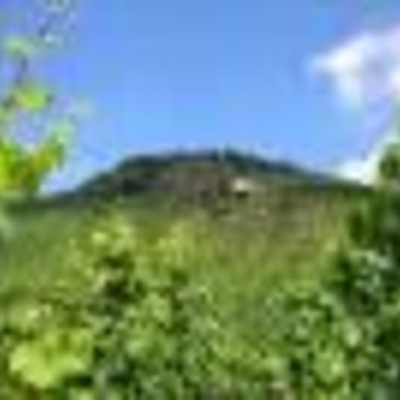 Wehlener%20Sonnenuhr