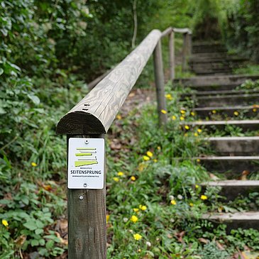 Bärensteig zur Bresgenruh