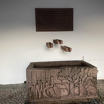 Barresbornerquelle nah
