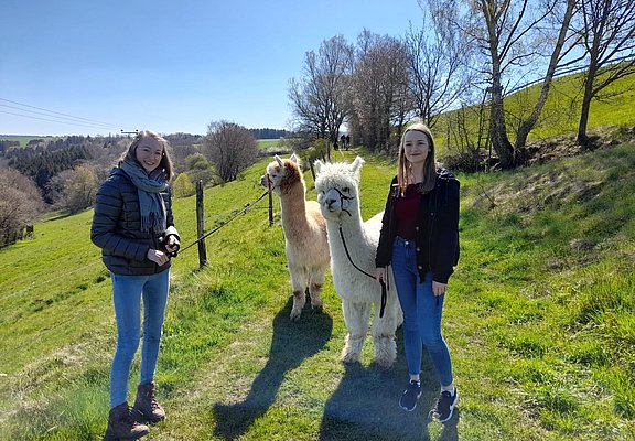 Alpaka-Trekking in Kleinich - Ausflug
