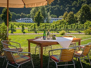 Weingut Paul Koenen - Ausblick auf die Mosel