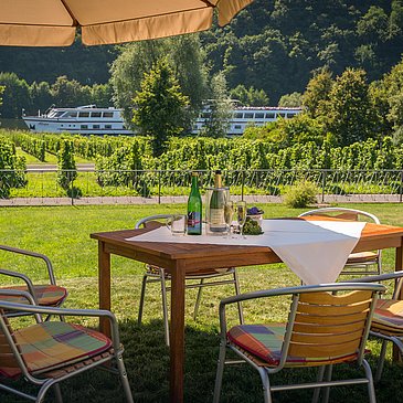 Weingut Paul Koenen - Ausblick auf die Mosel