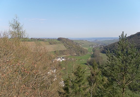 Blick von der "Kanzel" auf Burgen