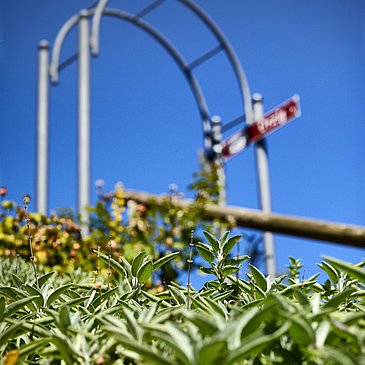 Gewürzgarten