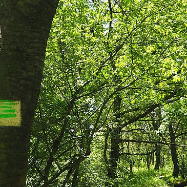 Beschilderung der Strecke