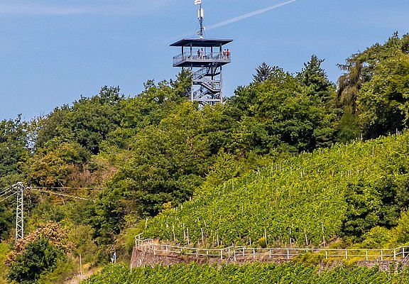 Blick auf den Prinzenkopfturm bei Zell