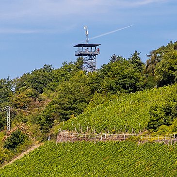 Blick auf den Prinzenkopfturm bei Zell
