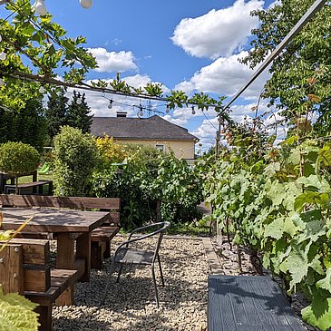 PXL_20220601_130428507 (1)
