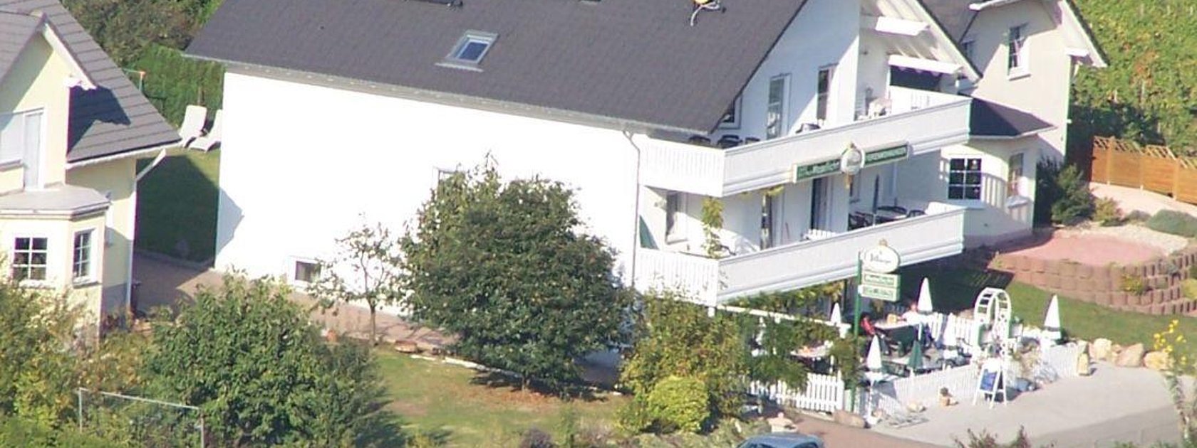 "Mosellicht" in den Weinbergen an der Mosel