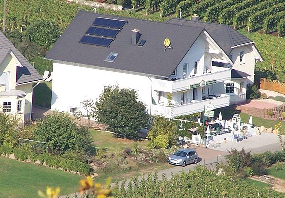"Mosellicht" in den Weinbergen an der Mosel