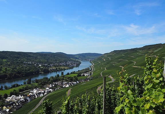 Graacher Wienberge