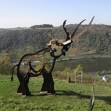 Der "Waldelefant" auf dem Bleidenberg