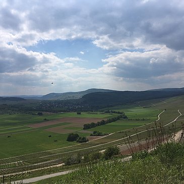 Kueser Plateau