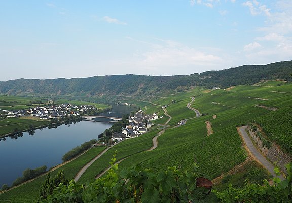 Blick über die Weinberge oberhalb von Piesport