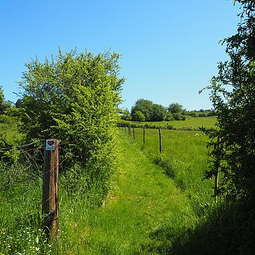 Wiesenweg