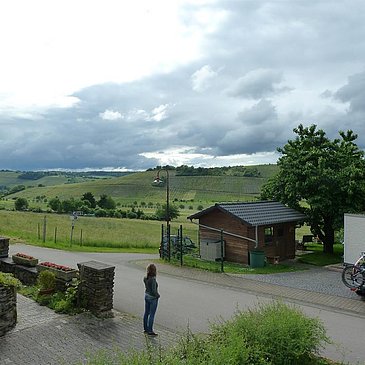 Landschaftsumgebung II