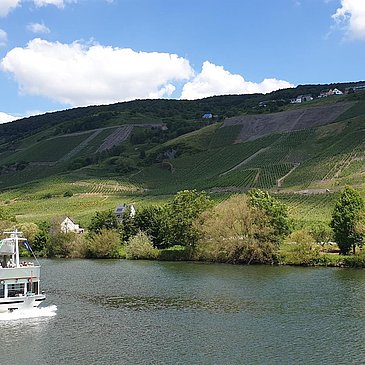 Schiffahren auf der Mosel